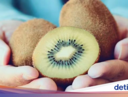 Ahli Pola Makan Ini Beberkan Cara Aneh Makan Kiwi yang Menyehatkan