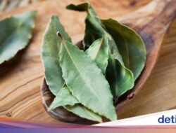 5 Manfaat Air Rebusan Daun Salam Untuk Kesejaganan, Termasuk Redakan Nyeri Sendi