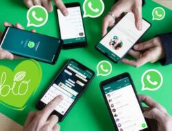 Cara Sadap WhatsApp hanya Bersama Nomor HP Tanpa Langkah