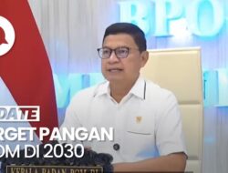 Video: Kepala BPOM Bicara Target Perlindungan Ketahanan Pangan Di 2030