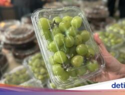 Bapanas Uji Cepat Residu Pestisida Anggur Shine Muscat Pembelian Barang Didalam Luar Negeri, Ini Hasilnya