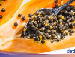 Biji Pepaya Ternyata Bisa Dimakan, Ini Manfaatnya Bagi Kesejajaran