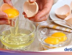 5 Manfaat Putih Telur Sebagai Keadaan, Betulan Manjur Pangkas BB Di Pola Makan?