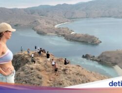 Terbangkan Drone Hingga TN Komodo Ditarik Rp 2 Juta, Asosiasi Pilot Ketidak Setujuan!