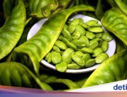 Benarkah Petai Bisa Bantu Turunkan Kadar Gula Darah? Ahli Kemakmuran Herbal Bilang Gini