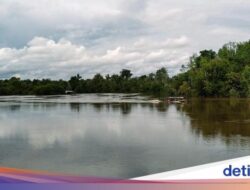 Menyelami Kekayaan Budaya Dunia Suku Dayak dan Bertemu Orang Utan Di Sei Gohong