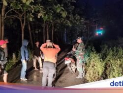 Lagi, 2 Kendaraan Angkutan Umum Perjalanan Ke Luarnegeri Tersesat Masuk Hutan gegara Ikuti Google Maps