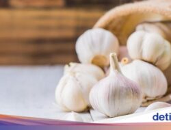 7 Manfaat Rebusan Bawang Putih, Bisa Tingkatkan Kesejajaran Kardiovaskular