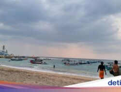 Australia Rilis Travel Warning soal Demam Berdarah Di Bali, Dispar: Tidak Masalah