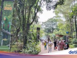 Bandung Zoo Tambah Satwa hingga Bersolek Sambut Libur Nataru 2024-2025