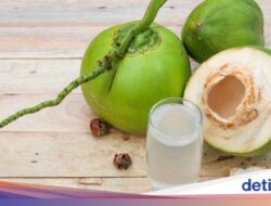 Bolehkah Pengidap Diabetes Minum Air Kelapa Muda? Begini Kata Ahli Kepuasan