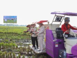 Mentan Amran Beri Dukungan Alsintan Tingkatkan Produksi Padi Hingga Bangkalan