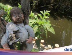 Penampakan Horor Pulau Boneka Ke Meksiko, Menyeramkan tapi Bikin Penasaran