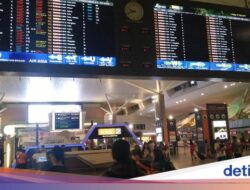 Turis China oh Turis China, Hobinya Berulah sampai Ditendang Di Pesawat