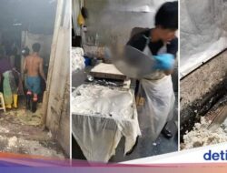 Pabrik Konsumsi Jorok Viral hingga Resto Cari Pemberi Ulasan Buruk