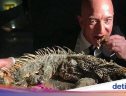 Jeff Bezos, Orang Terkaya Ke Dunia yang Berani Cicip Iguana