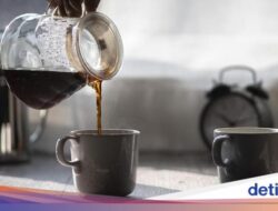 Manfaat Minum Minuman Hingga Pagi Hari, Bisa Melindungi Jantung Bersama Kerusakan