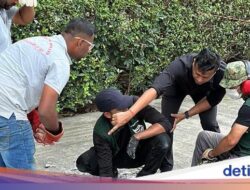 5 Jam Bebaskan Ular Piton yang Terjebak Ke Selokan, Beton Dibongkar