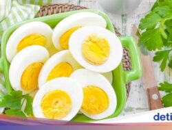 Segini Kalori Satu Telur Rebus, Apakah Bagus Untuk Pola Makan?
