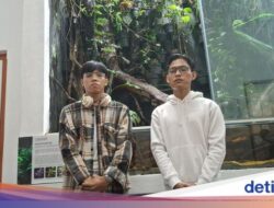 Buat Kenang-kenangan, Alasan Pelaku Ukir ‘Adi+Santo’ Hingga Kaktus Kebun Raya Bogor