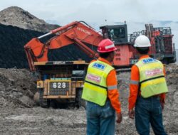 Meroket! Laba Bersih Samindo Tumbuh 501% Di Kuartal I-2025