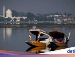 Kashmir Sepi, Wisatanya Hampir Mati