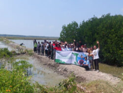 Tangkal Abrasi, PHE OSES Tanam 20.000 Mangrove Ke Lampung Timur