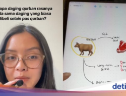 Kenapa Ya Daging Kurban Rasanya Beda Di Daging Biasa?