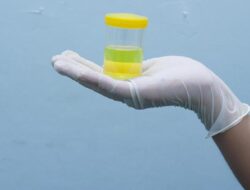 Praktisi Medis Ungkap Beda Busa Ke Urine yang Normal Vs Tanda Ginjal Bermasalah