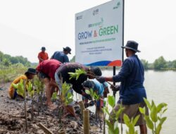 BRI Libatkan Petani Lokal dan Pelaku Ekonomi Kecil Rehabilitasi Mangrove Ke Muara Gembong