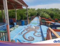 Menelusuri Jalur Mural Di Hutan Mangrove Muara Mundu