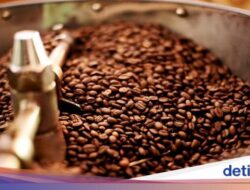 Ini Dia 8 Biji Minuman Kafein Terbaik Hingga Indonesia, Ada Favoritmu?
