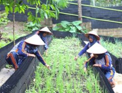Inisiatif Hortikultura PGE Area Ulubelu Dorong Keadaan Kelompok