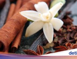 Terkuak, Kebiasaan Terapi Sakral dan Unik Dayak Golik, Diwariskan Lewat Mimpi