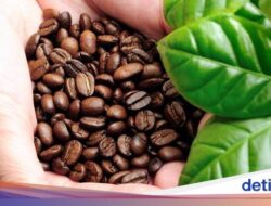 5 Minuman Indonesia Didalam Karakteristik Istimewa, Di Sumatera hingga Bali