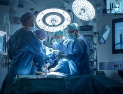 Sederet Organ Babi yang Pernah Didonorkan Hingga Manusia, Ada Ginjal hingga Paru