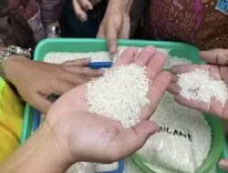 Dewan Perwakilan Rakyat Soroti Temuan Puluhan Ribu Ton Beras Perdagangan Masuk Negeri Menguning Ke Gudang Bulog