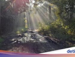 Mitos Asap Di Gunung Kareumbi, Karena Itu Pertanda Hujan Akansegera Datang