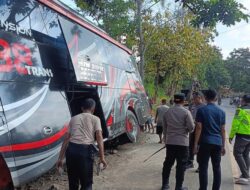Kecelakaan Maut Kendaraan Angkutan Umum Nakes Jember Hingga Bromo, Ingat Pentingnya Seat Belt