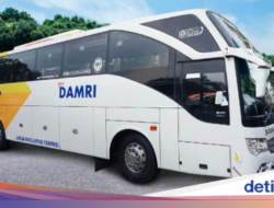 Di MotoGP Mandalika 2025, DAMRI Cuma Siapkan 10 Kendaraan Angkutan Umum