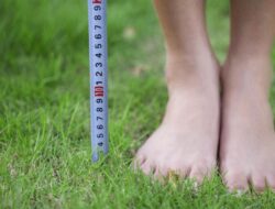 Terungkap! Ini Penjelasan Ilmiah Mengapa Pria Lebih Tinggi daripada Wanita