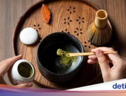 3 Standar Matcha Berdasarkan Waktu Panennya, Mana yang Terbaik?