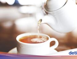 Batuk Tak Kunjung Reda? Minum 5 Teh Ini Ampuh Bikin Tenggorokan Lega