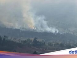 Kawasan Hutan Di Gunung Rinjani Kembali Terbakar!
