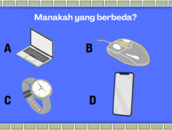 Tak Semua Orang Bisa Temukan Objek Di 7 Gambar Ini! Kalau Berhasil, Fix Kamu Jago