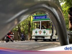 Bikin Cantik, tapi Menyimpan Bahaya