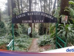 Mulai November, Tiket Masuk Ke TN Halimun Salak Turun, Ini Rinciannya