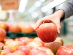 Ahli Gizi Jepang Beberkan Buah ‘Rahasia’ yang Bisa Bikin Panjang Umur, Apa Saja?