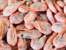Empat Laboratorium Indonesia Lolos Persetujuan FDA Bagi Uji Cs-137 Ke Udang