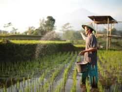 Merangsang Pemanfaatan Agrikultur Presisi Berbasis Data dan Ilmu Pengetahuan